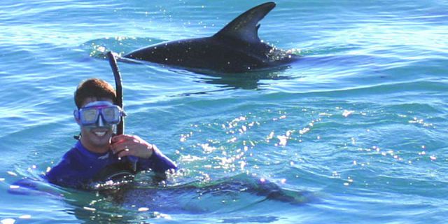 Swimming with dolphins mauritius (4)